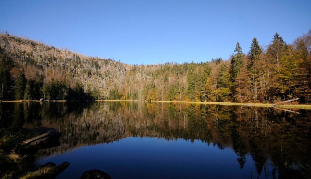 Langwanderung Rachel - Lusen