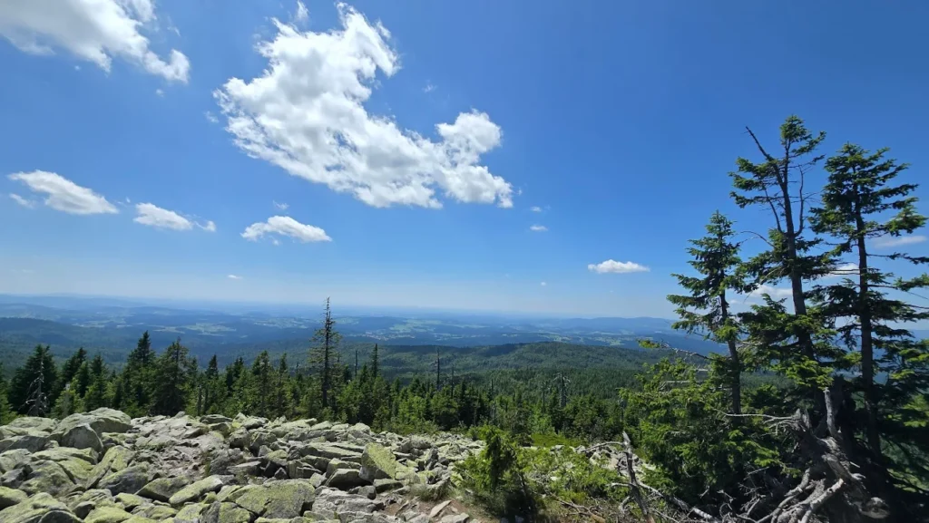 Bequeme Rundwanderung im Nationalpark